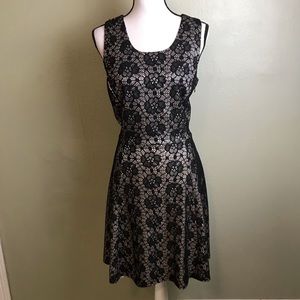 Enfocus Studio Creme Dress Black Floral Lace 14